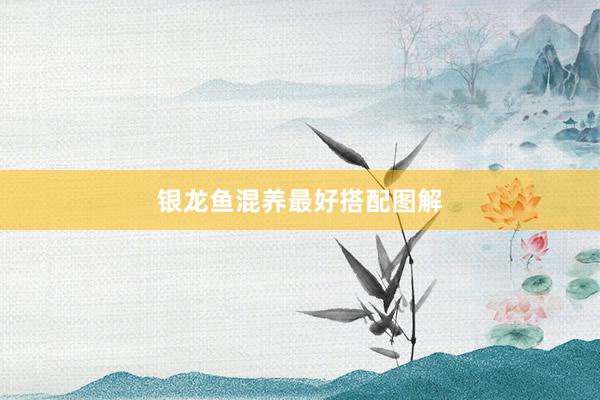 银龙鱼混养最好搭配图解
