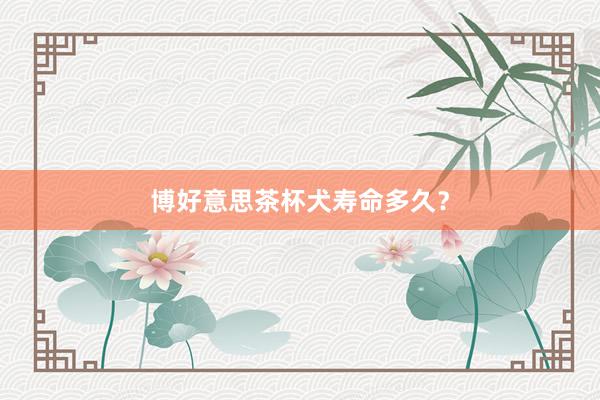 博好意思茶杯犬寿命多久？
